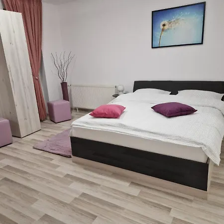 Apartment Stefan-brasov Brasov