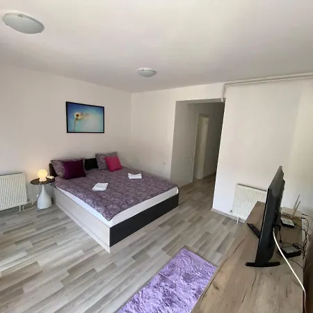Apartment Stefan-brasov