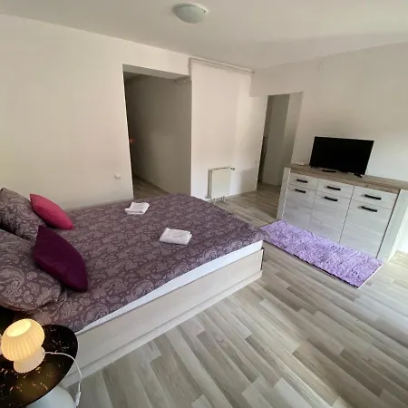 Stefan-brasov Apartment *