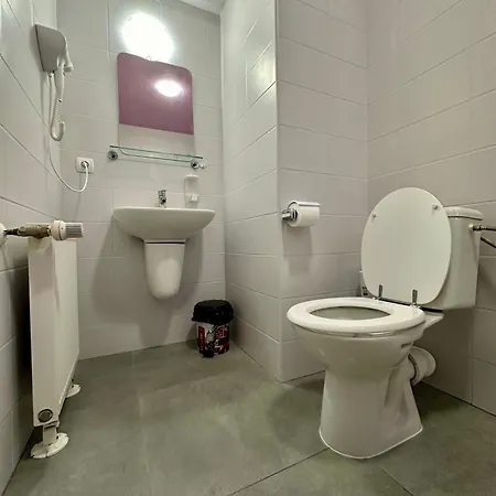 Apartment Stefan-brasov *