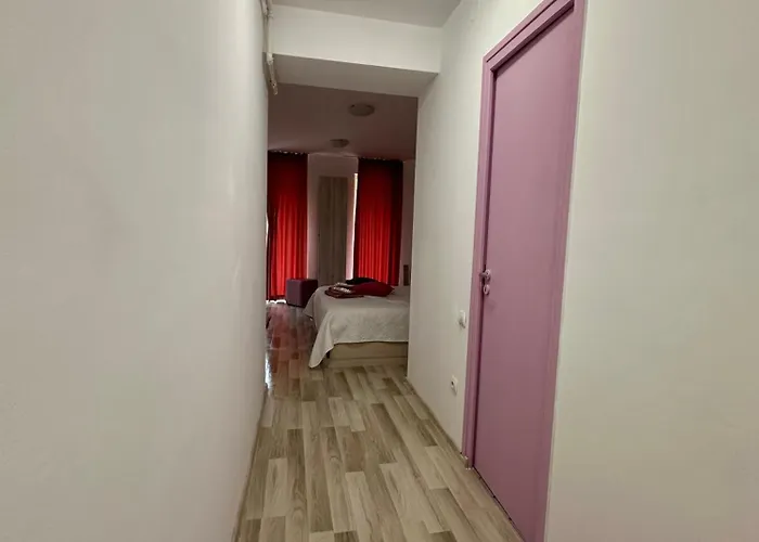 Stefan-brasov * Braşov